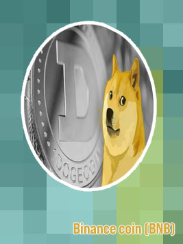 Binance dogecoin usd