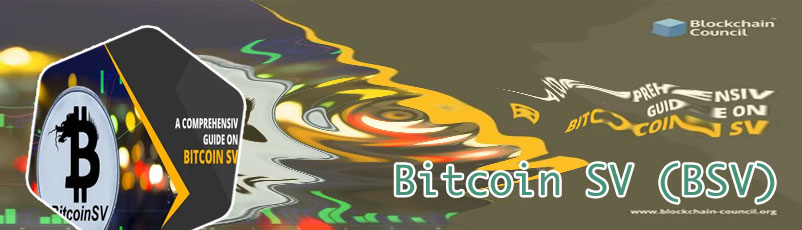 Bitcoin sv spike