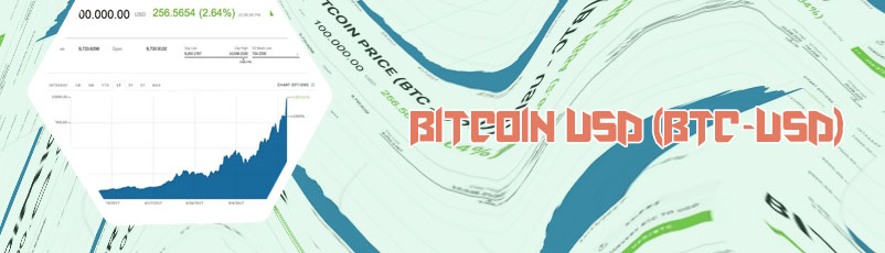 Bitcoins price usd