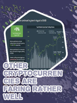 Cryptocurrency prices by market cap