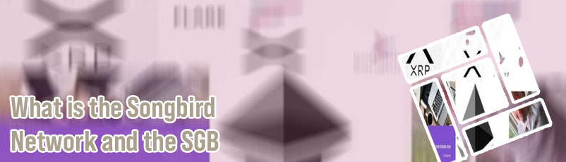 What is songbird crypto